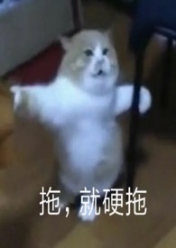 西幻魅魔成长日记最新章节